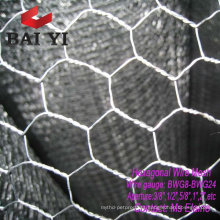 Stainless Steel Hexagonal Wire Mesh